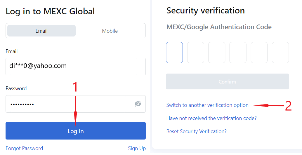 Switch to another verification option